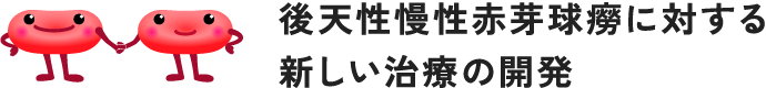 後天性慢性赤芽球癆に対する新しい治療の開発